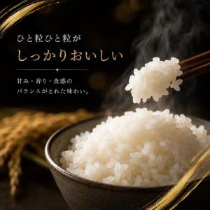 無洗米 3kg 国産 ブレンド米 送料無料 プ...の詳細画像2