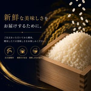 無洗米 3kg 国産 ブレンド米 送料無料 プ...の詳細画像3