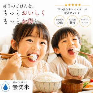 無洗米 5kg ブレンド米 国産 生活応援米 ...の詳細画像1