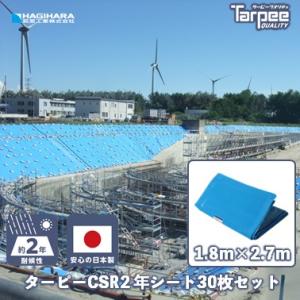 ターピー CSR2年シート 1.8m×2.7m [30枚セット] | ブルーシート 日本製 軽量 防...
