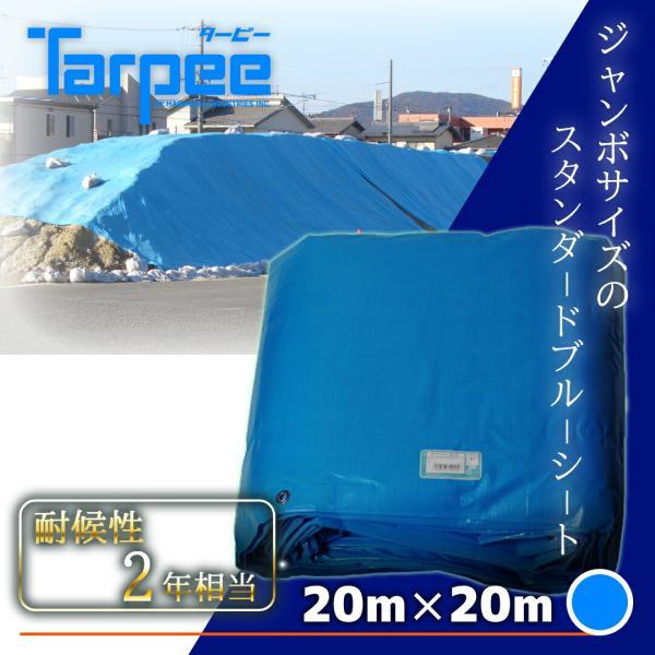 ターピー フレンドシート#3000 20m×20m 【法人様限定】 ｜ 特大サイズ 厚手 防水 大判...