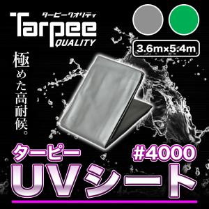 ターピー UVシート #4000 3.6m×5.4m | 全2色 シルバー グリーン 日本製 超厚手 長持ち UV剤入 UVカット ブルーシート カラー 送料無料