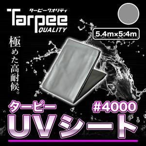 ターピー #4000 UVシート 10m×10m シルバー | 日本製 耐候性3年 NETIS 