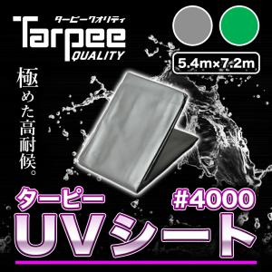 ターピー UVシート #4000 5.4m×7.2m | 全2色 シルバー グリーン 日本製 耐候性3年 超厚手 長持ち UV剤入 UVカット ブルーシート カラー 送料無料