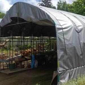 UVシート ターピー エコサーティシートUV ...の詳細画像5