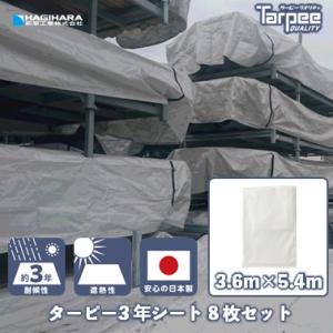 3年シート 3.6m×5.4m 3654 [8枚] | まとめ売り セット販売 国産 日本製 ホワイト 白 遮熱効果 送料無料｜hagihara-e
