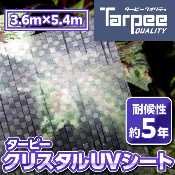 【受注生産】ターピー クリスタルUVシート 3.6m×5.4m | 日本製 半透明 耐候性5年 軽量...