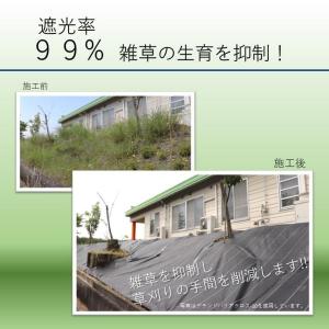 【レビューでプレゼント】国産防草シート 1m×...の詳細画像3
