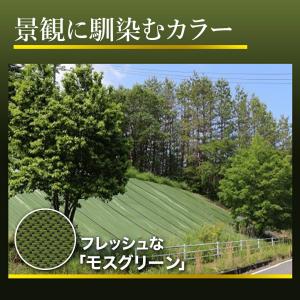 【レビューでプレゼント】国産防草シート 2m×...の詳細画像5