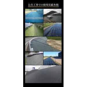 【レビューでプレゼント】グランドバリアクロス-...の詳細画像2