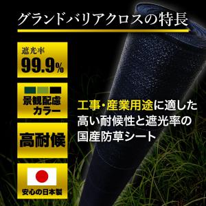 【レビューでプレゼント】グランドバリアクロス-...の詳細画像3