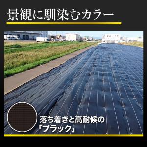 【レビューでプレゼント】グランドバリアクロス-...の詳細画像5