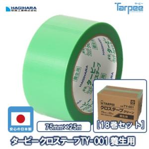 養生テープ ターピークロステープ TY-001 養生用 75mm×25m グリーン TY001-75...