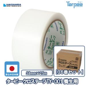 Tarpee 養生テープ ターピークロステープ TY-001 養生用 100mm×25m