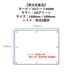 【受注生産品】ターピー UVシート#5000 ODグリーン 2300mm×2500mm ハトメ：各辺3箇所｜hagihara-e