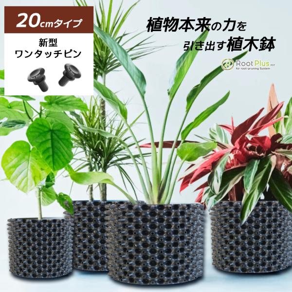 RootPlus 30cmタイプ 植木鉢 小型 | 10号 根腐れ ルーピング防止 軽い おしゃれ ...