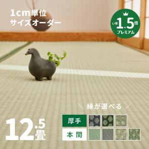 サイズオーダー 上敷き ござ ラグ カーペット 12.5畳 12.5帖 本間 厚手 丈夫 畳 サイズ加工 サイズカット 和風縁 選べる 柳川プレミアム｜hagihara6011