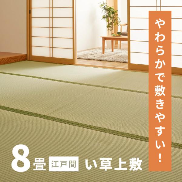 カーペット い草 8畳 8帖 352×352cm 畳の上に敷くもの ござ いぐさ 江戸間 関東間 田...