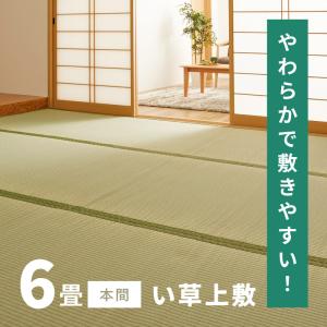 カーペット い草 6畳 6帖 286×382cm...の商品画像