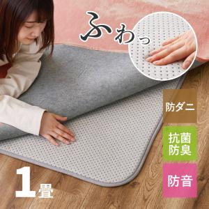 HAGiHARA（萩原） ラグ マット カーペット 2畳 170×170cm 防音 防ダニ