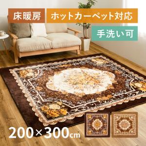 HAGiHARA（萩原） ラグ マット カーペット 3畳 220×220cm 洗える 滑り