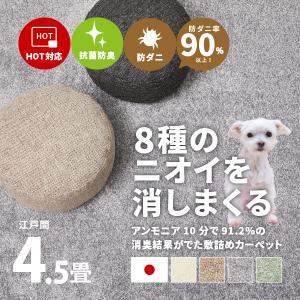 ラグ カーペット 消臭 抗菌 アース 防ダニ 日本製 4.5畳 江戸間 4畳半 4.5帖 261×261cm ペット 犬 猫 絨毯 リクリア｜hagihara6011