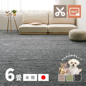 ラグ カーペット 6畳 本間 6帖 286×382cm 日本製 カットできる ペット 犬 猫 タフトラグ 絨毯 平織り ラウム｜hagihara6011
