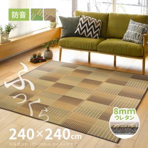 ラグ カーペット い草 4.5畳弱 240×24...の商品画像