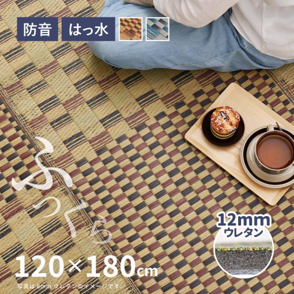 ラグ い草 1.5畳 120×180cm たたみ 折りたためる 抗カビ 抗菌 防臭 撥水 はっ水 防...