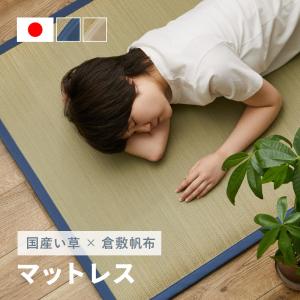 HAGiHARA（萩原） い草 マットレス 6つ折り 80×180×4cm いぐさ