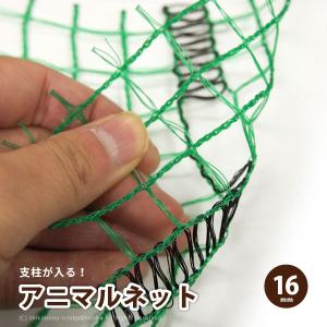 防獣ネット アニマルネット 支柱が入るホールタイプ 幅1×長さ50m 16mm