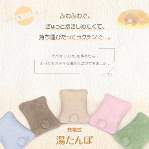 湯たんぽ 充電式 ゆたんぽ PSE認証 5分速...の詳細画像1