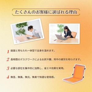 ヒーターマット 電気座布団 パネルヒーター ホ...の詳細画像1