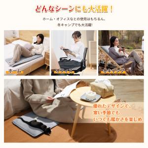 ヒーターマット 電気座布団 パネルヒーター ホ...の詳細画像2