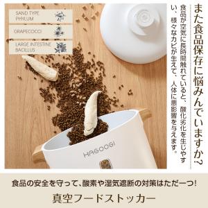 セール価格6980円【Yahoo1位!】HAG...の詳細画像4