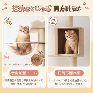キャットタワー 猫タワー 木製 高さ179cm...の詳細画像4