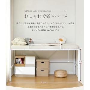 ロフトベッド ロータイプ システムベッド ロフ...の詳細画像1