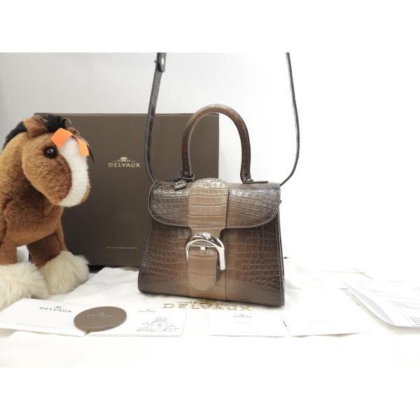 デルヴォー ブリヨンミニ アリゲーターレザー グラデーション灰茶 ハンドバッグ ポシェット@ 1