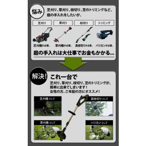 【2,000円引クーポン★8/31まで】ハイガ...の詳細画像2
