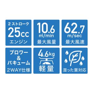 【★週末限定★￥3,000引クーポン】 ハイガ...の詳細画像3
