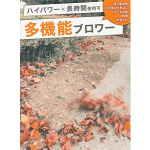 【1,000円引クーポン★6/30まで】ハイガ...の詳細画像2