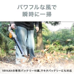 【1,000円引クーポン★6/30まで】ハイガ...の詳細画像5