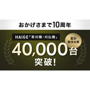 【2,000円引クーポン★8/9まで】ハイガー...の詳細画像1