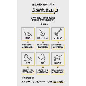 【￥6,000引クーポン】ハイガー スカリファ...の詳細画像3