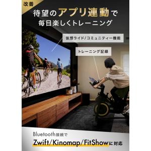 ハイガー スピンバイク マグネット式 ZWIF...の詳細画像3
