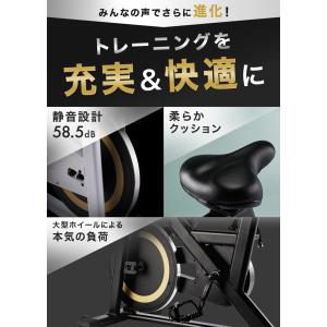 ハイガー スピンバイク マグネット式 ZWIF...の詳細画像4