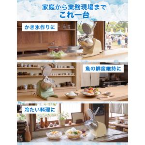 【★新発売記念1,000円OFFクーポン 9/...の詳細画像1