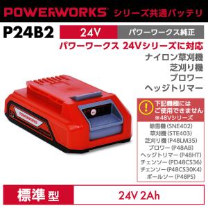 HAIGE ハイガー パワーワークス シリーズ共通バッテリ 24V/48V
