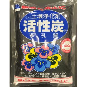 アミノール化学研究所 活性炭 500g｜haijistore