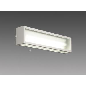 Panasonic（パナソニック） LED非常灯 NNCF22135JLE9（NNCF22135J LE9